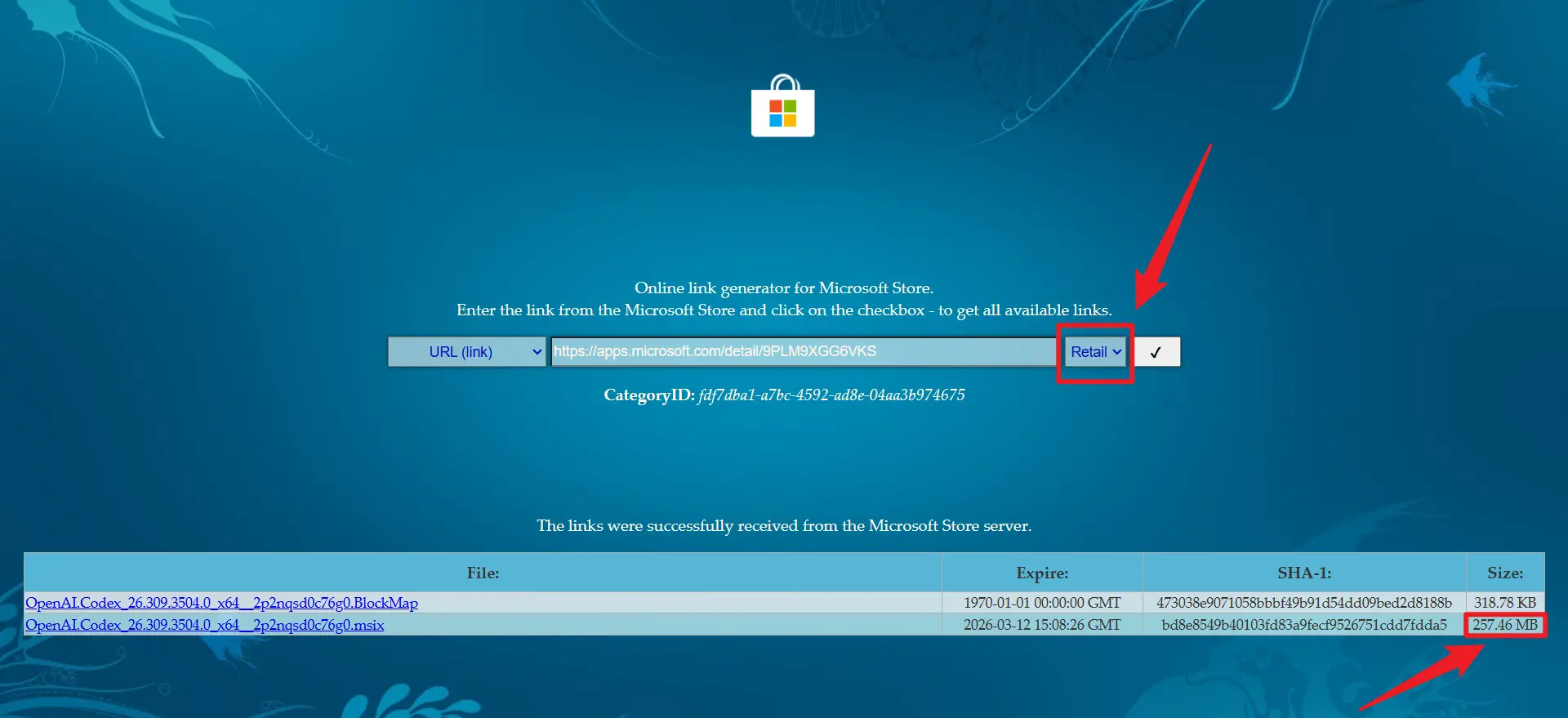 【亲测可用】Codex国内安装教程-学社山中人